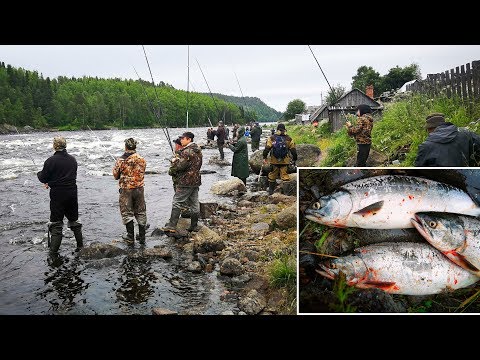 Видео: УДАЧНАЯ  РЫБАЛКА НА ГОРБУШУ   /SUCCESSFUL FISHING FOR SALMON