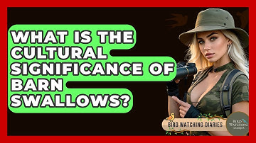 What Is The Cultural Significance Of Barn Swallows? - Bird Watching Diaries