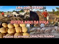 Minha rotina do dia aqui na roça/Apartei as vacas e dei ração|Pão de queijo Goiano