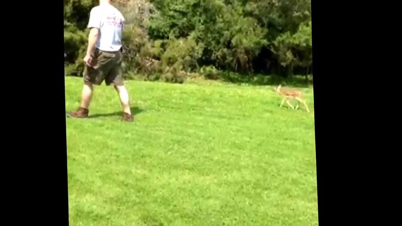 removal of fallopian tube The following Fawn