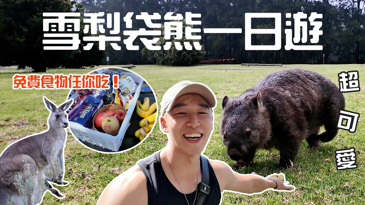 雪梨「袋熊看到飽」全記錄🐻🎥可愛爆擊滿點!車上零食隨你吃😍來雪梨不可錯過的行程🔥 #patrickfit 縮圖