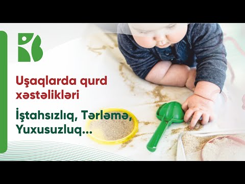 Video: Smeqmanın qoxusu nəyə bənzəyir?