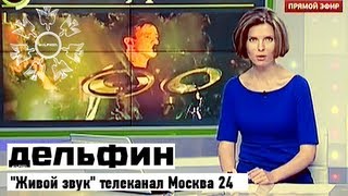 Дельфин | "Живой звук" - Москва 24 Дельфин | "Живой звук" - Москва 24