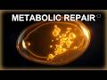 reverse dieting to fix metabolism after 1200 calories