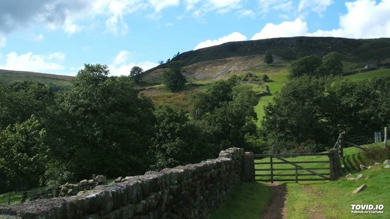 Sonata for Strings Memories of Farndale, by Stephen Gamble