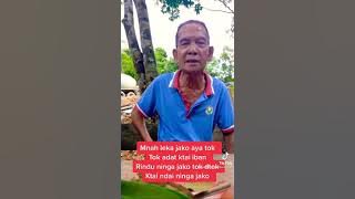 jaku lalau urg tuai