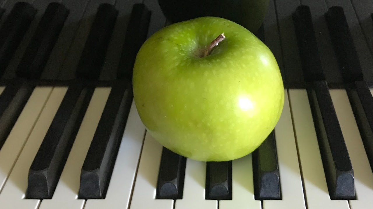 WILL PLAY 4 FOOD FALL '25