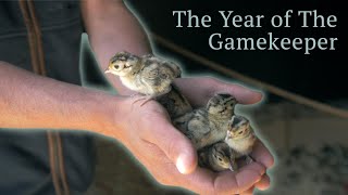 Year of the Gamekeeper - Part 2