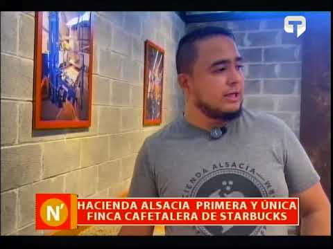 Hacienda Alsacia primera y única finca cafetalera de Starbucks