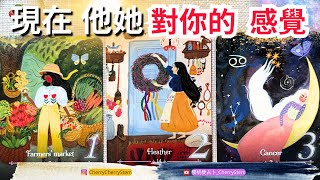 🍒 💝現在, 他她 對你的想法｜他她怎麼看你｜對你的感覺♥️ 有字幕 🟣無時間限制占卜 🟡  #塔羅 #占卜 #字卡 #tarot #oracle #愛情 #愛 #感情 #love