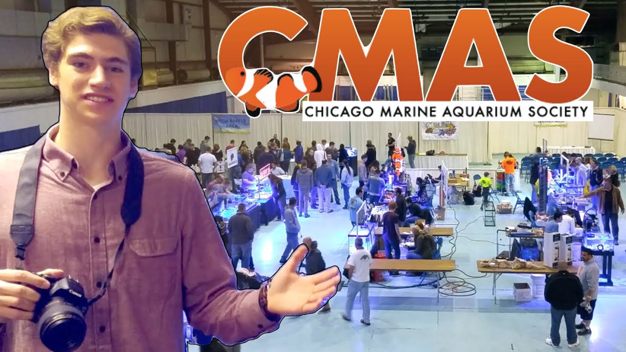 CMAS Frag Swap 2016 - YouTube