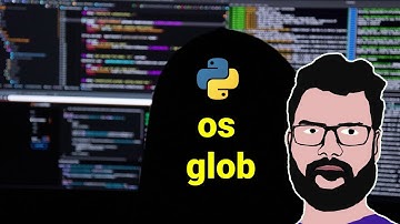 #9 Python Standard Library `os` and `glob`