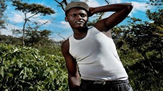 Shawe By Mero Magicsvisualizer