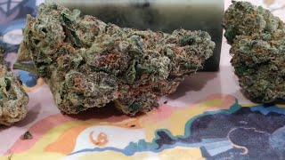 Jester - Indica - Illinois Cannabis Review 