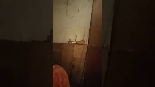 Prank Pacar Mintak Wikwik