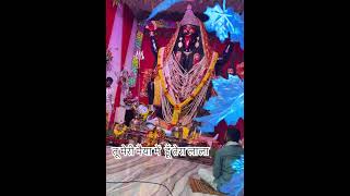 भजो रे बूढ़ी खेरमाई माँ ❤️🔱 #love #trending #cricket #viral