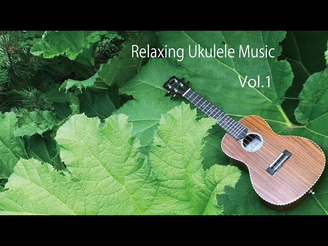 1 Hour of Relaxing Ukulele Fingerstyle Background Music class=