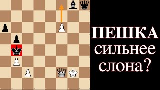 картинка: Может ли пешка быть сильнее слона в шахматах?