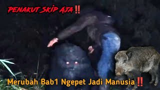 Live Misteri‼️Misi Penyelamatan Merubah Agus Sang Bab1 Ngepet Jadi Manusia Kembali