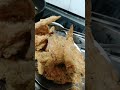 CRISPY AND JUICY FRIED CHICKEN WINGS | HOW TO MAKE FRIED CHICKEN | FRIED CHICKEN | #shorts