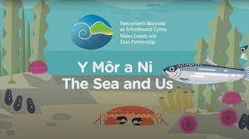 Y Môr a Ni (The Sea and Us)