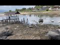 FENOMENA LANGKA, DANAU KERINCI SUMBER MATA PENCARIAN WARGA MENGERING 