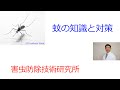 蚊の知識と対策