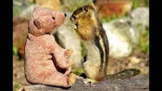 Cuz I Love You - Lizzo (Chipmunk Chippette Version)