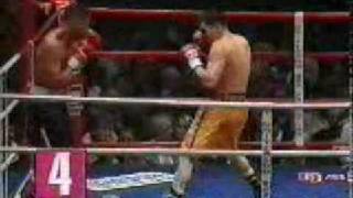 Dariusz Michalczewski vs Virgil Hill 2