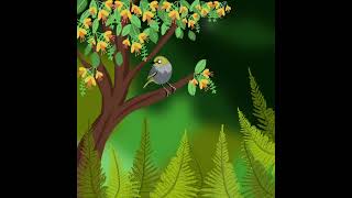 Birdsong Mindfulness - Waxeye/Tauhou