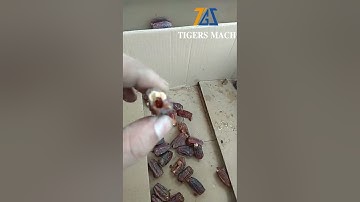 Date factory use automat jujube core seeds pitters removing machine salable in Tunisia