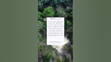 #سورة_التين تلاوة خاشعة للقارئ علاء عقل