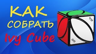 Как собрать Иви куб | How to Solve the Ivy Cube | Tutorial