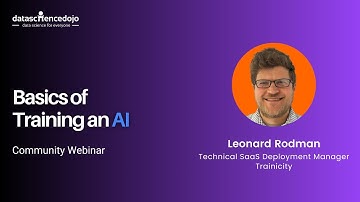 Basics of Training an AI