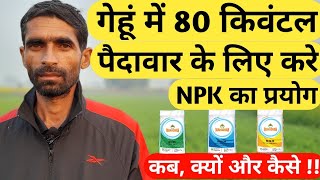 गेहूं में कोनसा NPK कब देना चाहिए | गेहूं में NPK का प्रयोग | Gehun Mein Npk Ka Spray Kab Karen |NPK