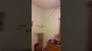 He Couldnt Take It Anymore