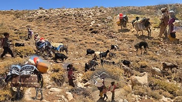 Real Nomadic Life: The End of Mountain Life, and the Amazing Migration of Nomads