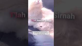 PRESET JADI SAKSINYA NYATA BAHWA MEMILIKIMU ADALAH ANUGRAH TERINDAH X PENJAGA HATI 🎶✨