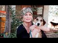 Passage: Remembering Brigitte Bardot, Tatiana Schlossberg