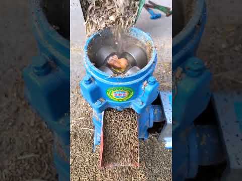 الدجاج الماشية الأعلاف الحيوانية الغذاء بيليه ماكينة تغذية الدواجن بيليه مطحنة آلة تكوير