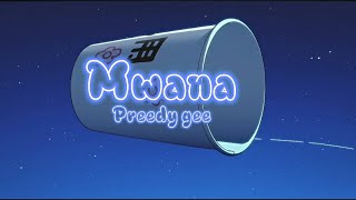 Preedy Gee - Mwana ( lyric video)