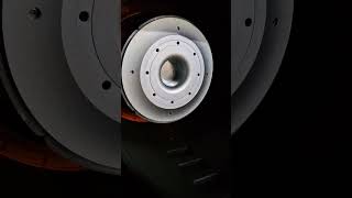 Ini Dia Spiker Gajah Brewog