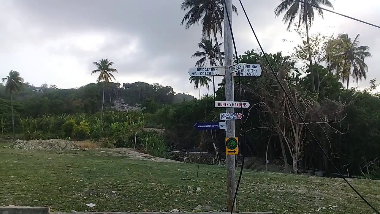 Road To Bath Beach St. John Barbados🇧🇧 YouTube