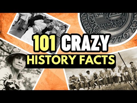 101 Crazy US