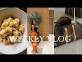 WEEKLY VLOG | UNPACK WITH ME AFTER DUBAI, CHIT CHATS &amp; COOKING DINNER  | Edwigealamode