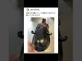 あまりにも買ってほしそうなナス