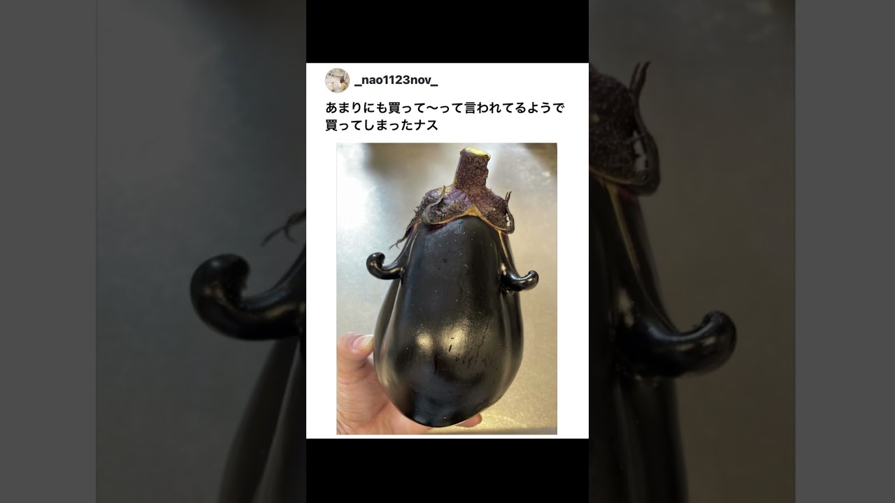 あまりにも買ってほしそうなナス