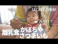 赤ちゃんにパパがキューピーのベビーフードかぼちゃとさつまいもをあげる。（生後5ヶ月）　baby food  pumpkin