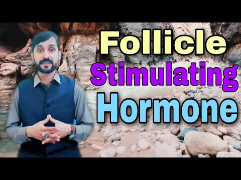 Video: Follicle-Stimulating Hormone (FSH) Test