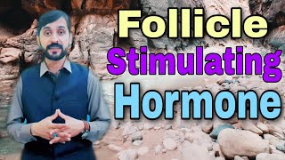 Follicle Stimulating Hormone Test || FSH Test